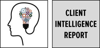 Client Intelligence Report: Data view