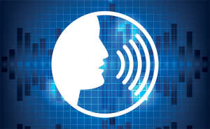Voice recognition graphic